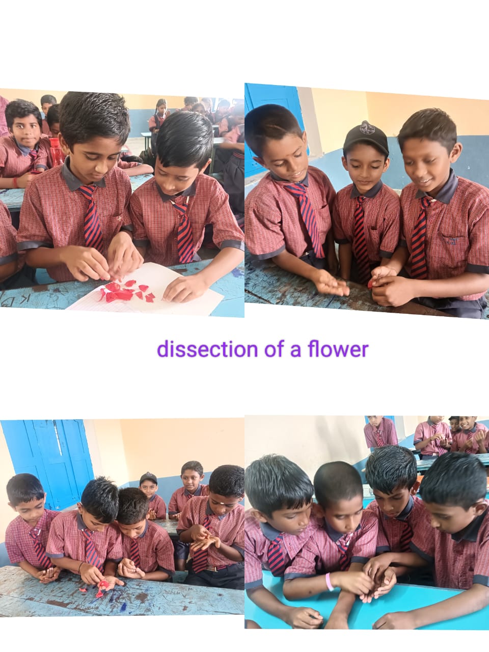 Grace School Students